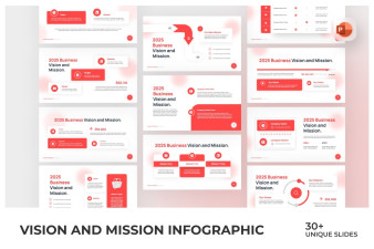 Vision Mision Target infographics